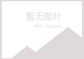 鲁山县埋没能源有限公司